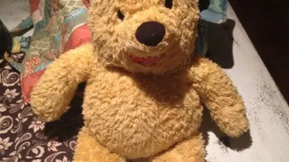 Have you ever seen a bear IRL?