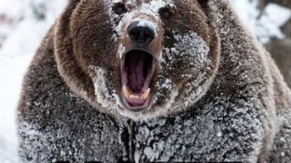 My Meh Order History is a Cesspool of Sin and Vice