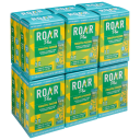 144-Pack: Roar Plus Vitamin & Electrolyte Drink Mix (Pineapple Passion)