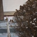 East Coast Needs Beaty Sleep