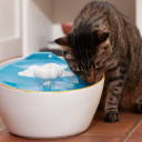 SideDeal Daily: Frisco Ceramic Clouds Dog & Cat Fountain