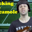 I Fucking Love Guacamole (The Game Day Party Song)