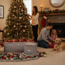 Tidy & Co. Holiday Storage Ornament Box & Multi-Purpose Storage Box