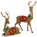 Winter Lane 2-Piece Illuminated Reindeer with Poinsettias