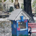 Made a new friend on my walk today