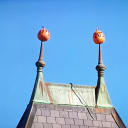 The Mysterious Pumpkins at Rounds Hall