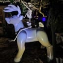 Spooky Season - Inflatable Style