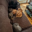 Well... I guess I will sit on the floor then...