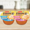 48-Pack: INABA Dashi Delights for Cats