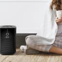 SideDeal Daily: 2-Pack: Levoit Desktop Air Purifier