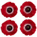 4-Pack: Candle Impressions Carved Poppy Luminaries