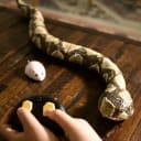 Odyssey Toys Remote Control Mouse & Anaconda Combo Pack