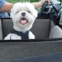 SideDeal Daily: Kallodear Dog Car Seat for Small and Medium Dogs