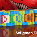 Seligman Findings (January 2014)
