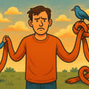 Long sleeve t-shirts: