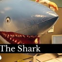 The Shark - Seligman Case Study