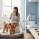 SideDeal Daily: INSE P50 Pet Grooming Vacuum Kit