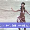 Happy Hula Hanukkah