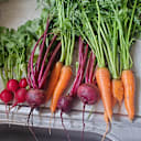 Today's bounty...