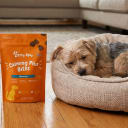 Zesty Paws Supplement Treats for Dogs & Cats