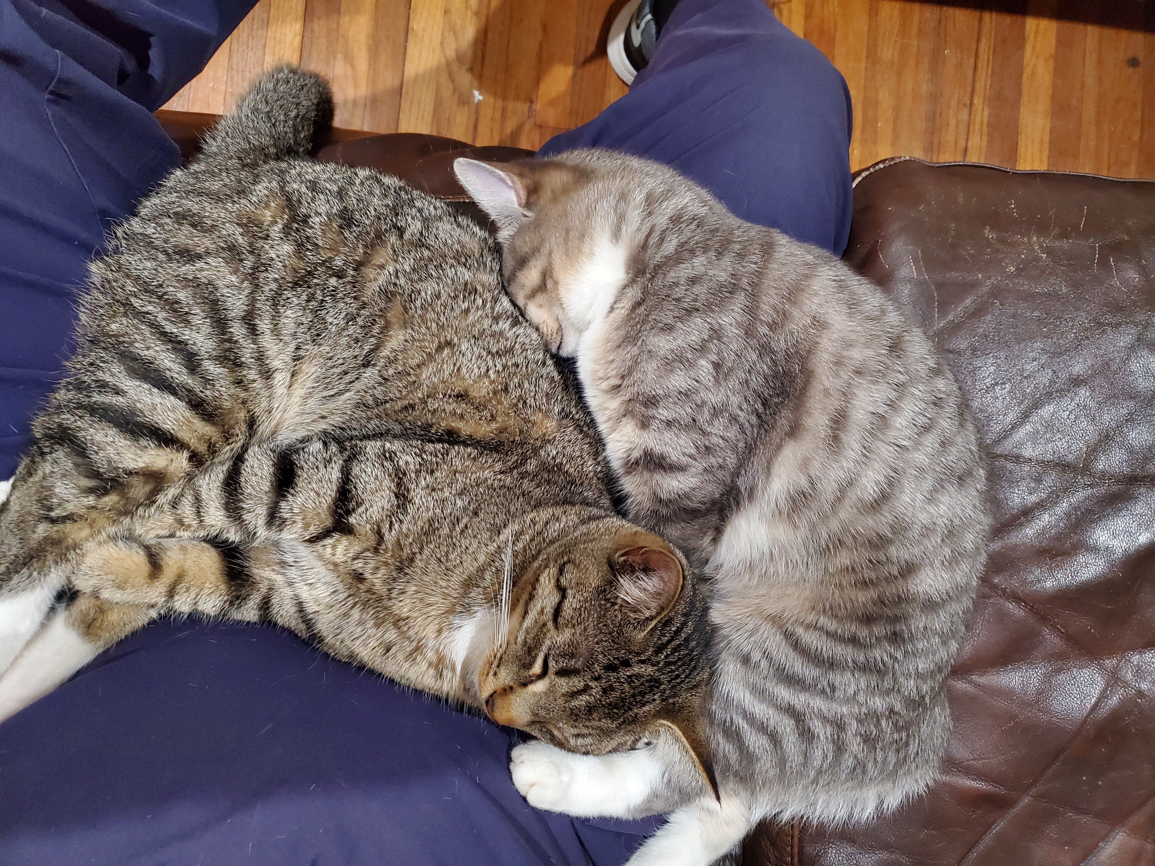 enter image description here