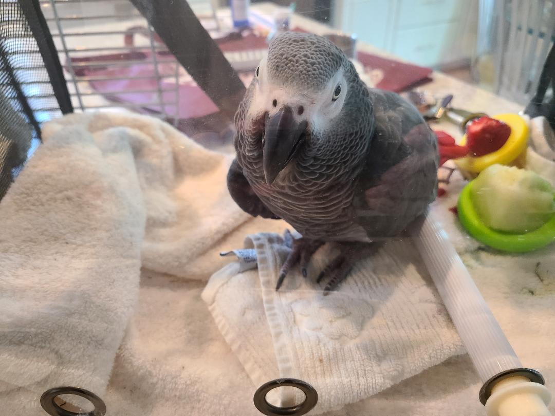 enter image description here