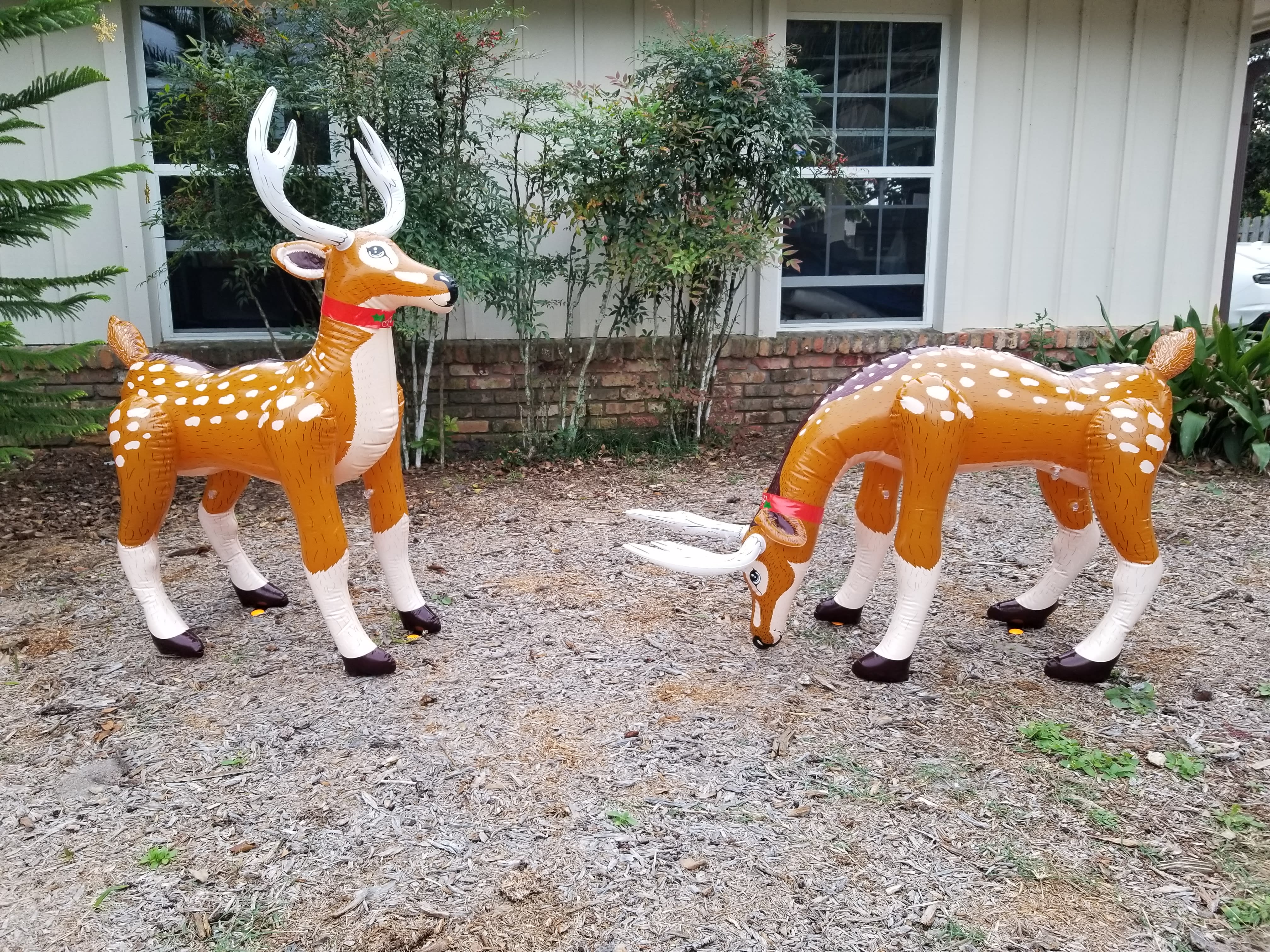 Available in Walmart stores for $10!