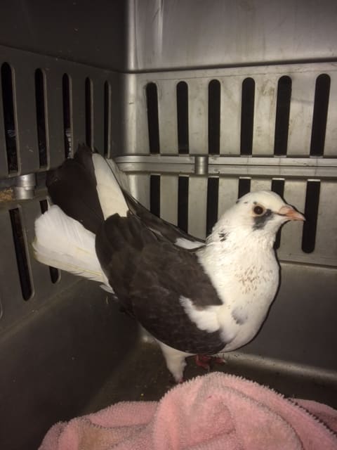 enter image description here