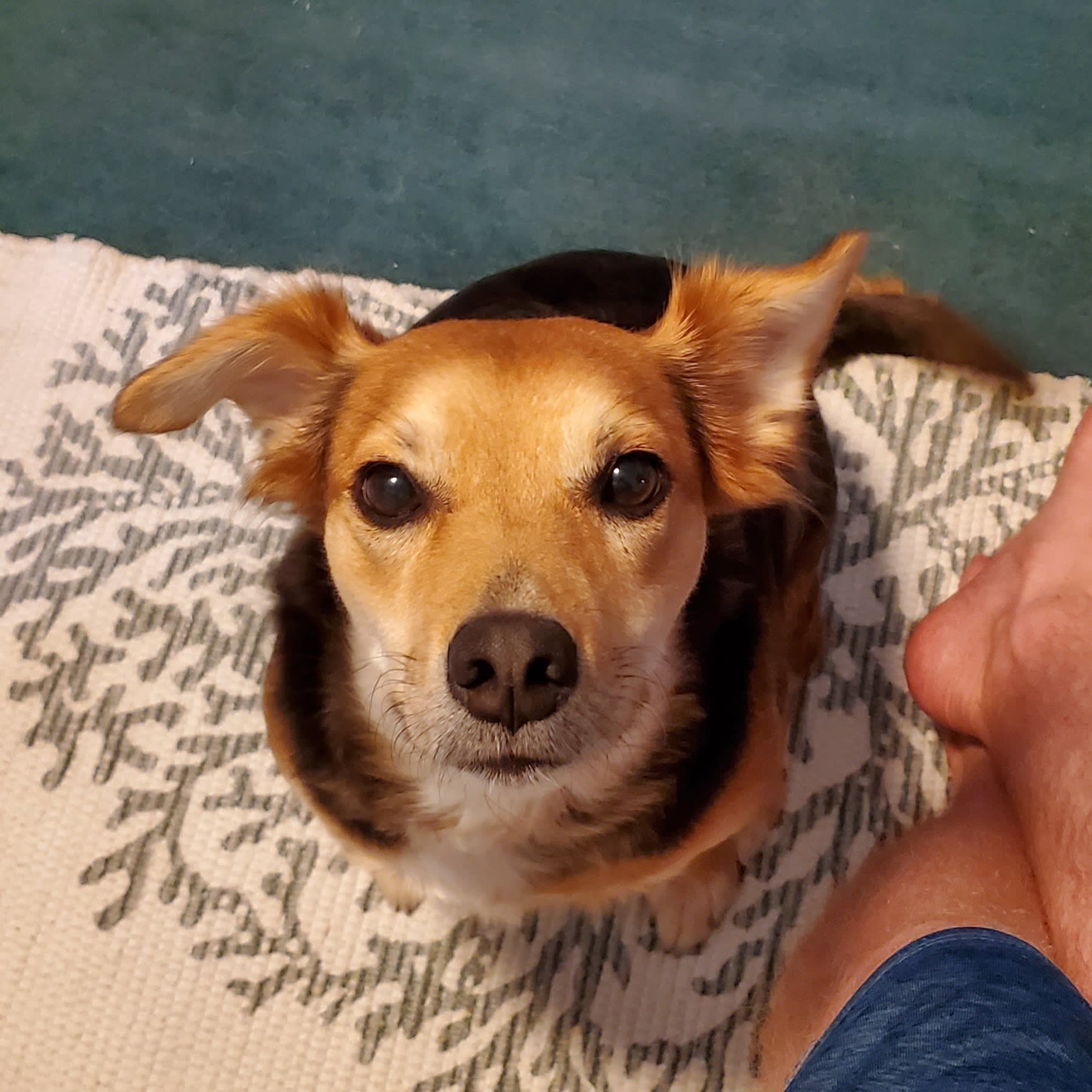 She is good at making cute faces.