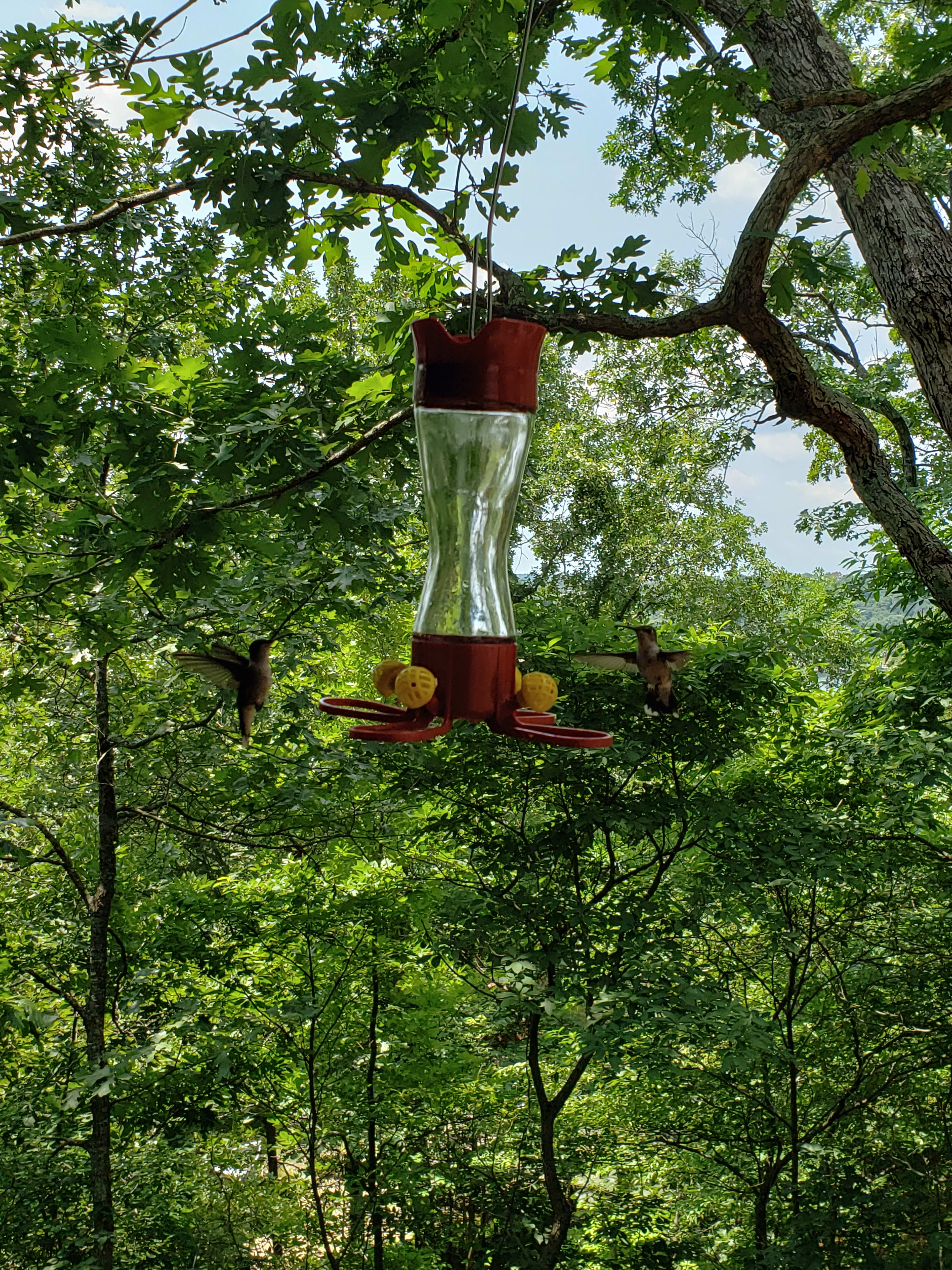 enter image description here