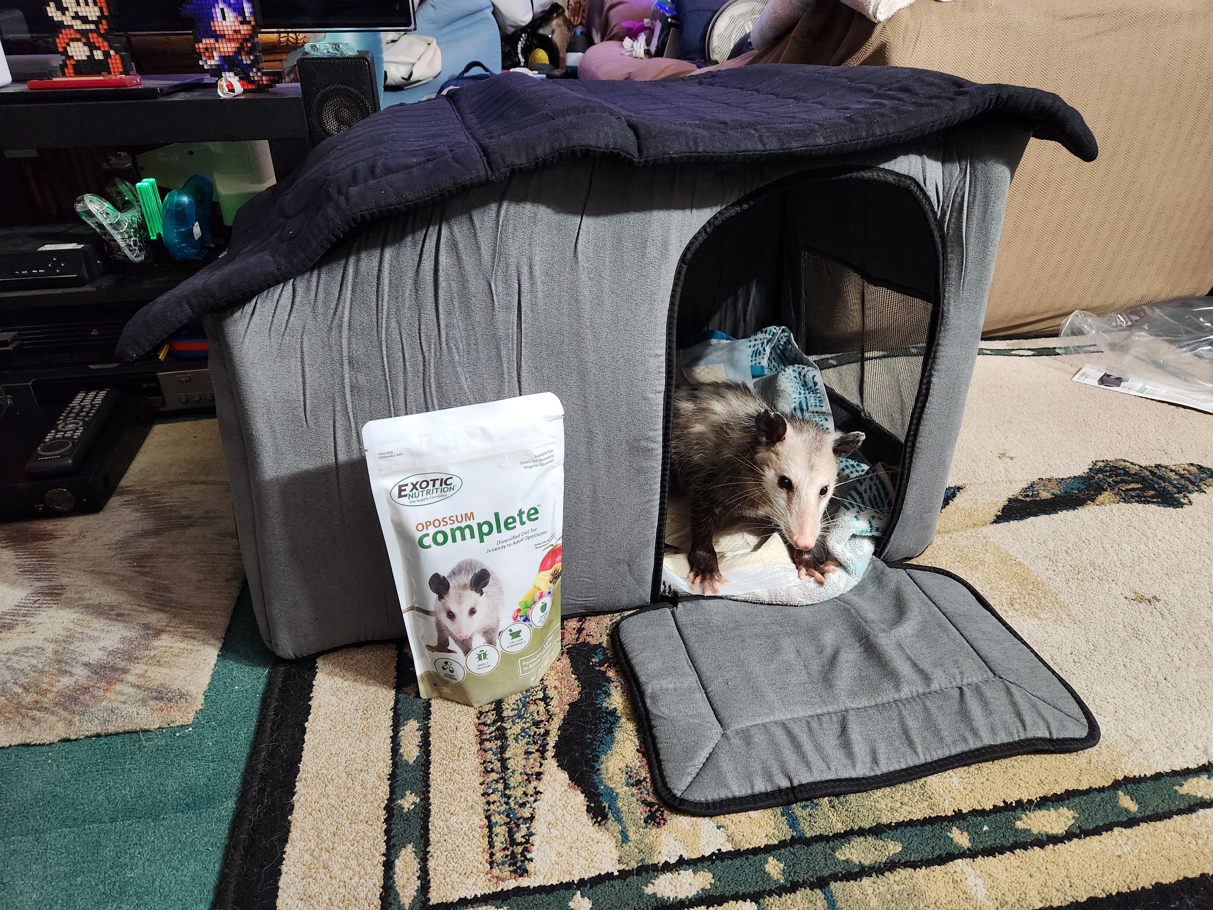 She seems to like it.