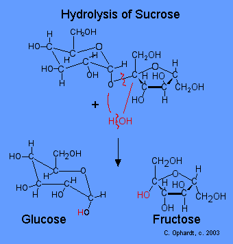 chemical process chart showing hydrolysis of sucrose
