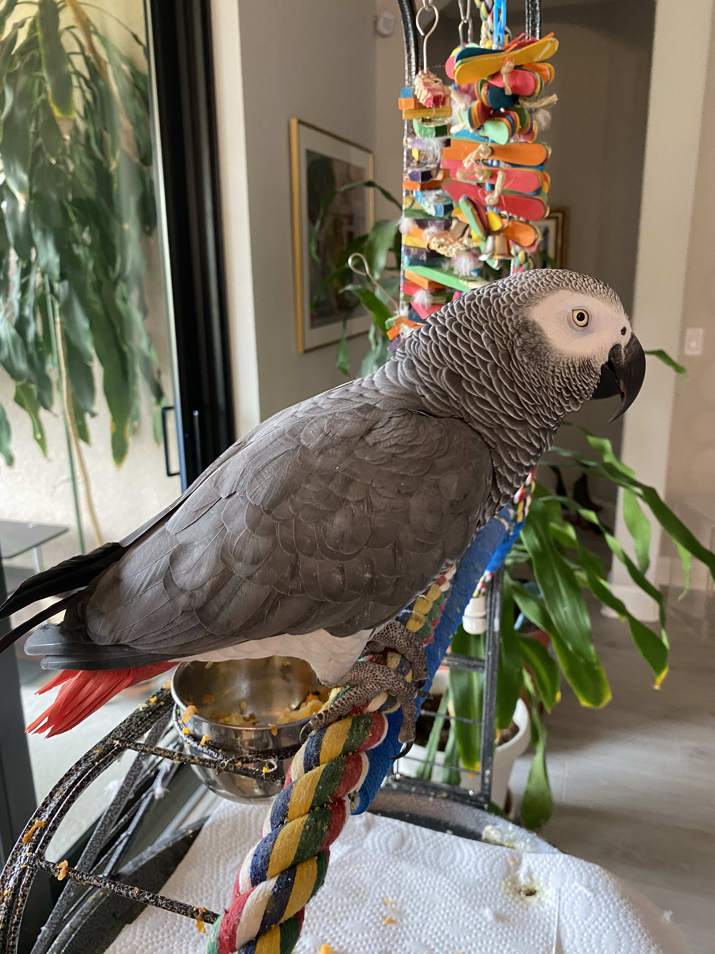 enter image description here