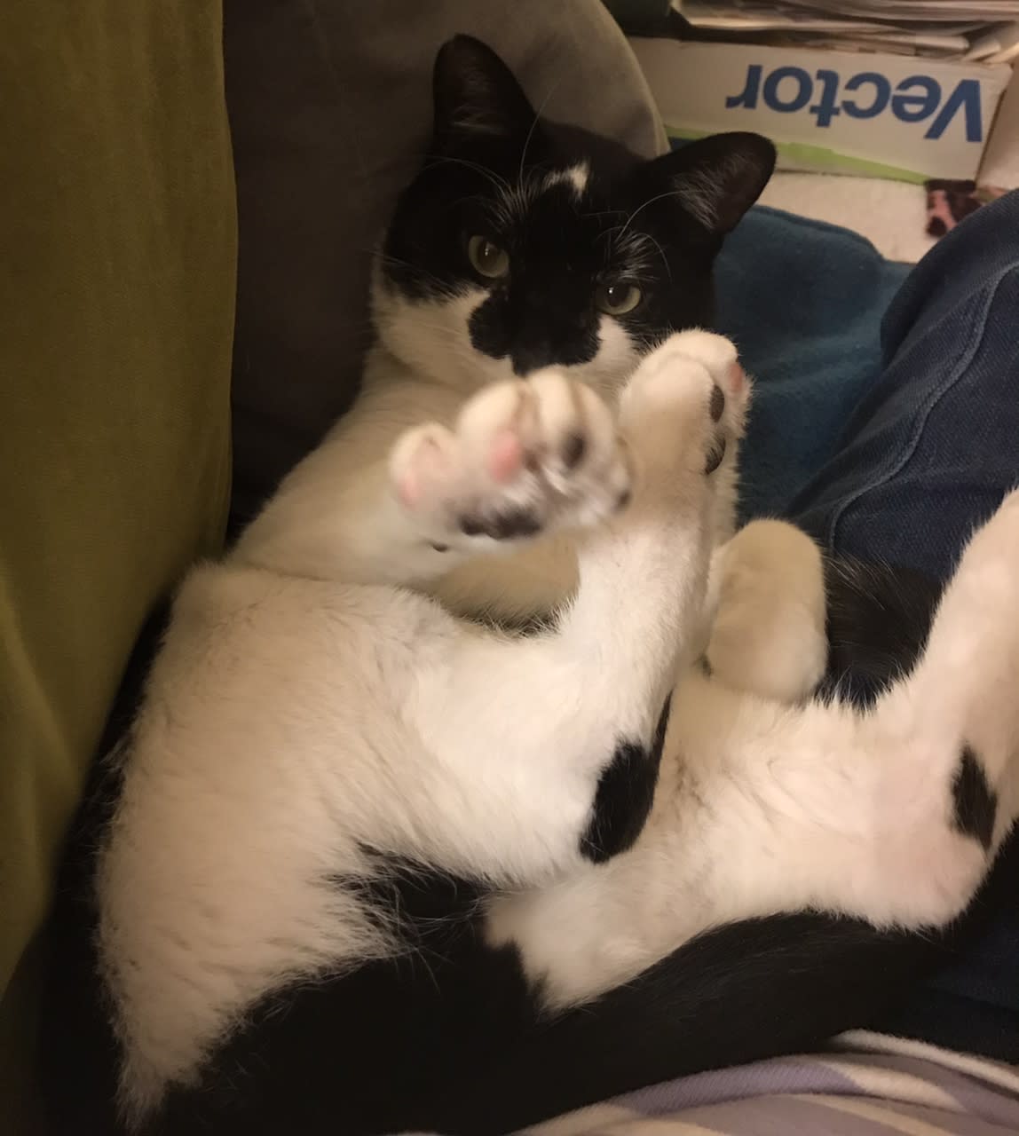 enter image description here