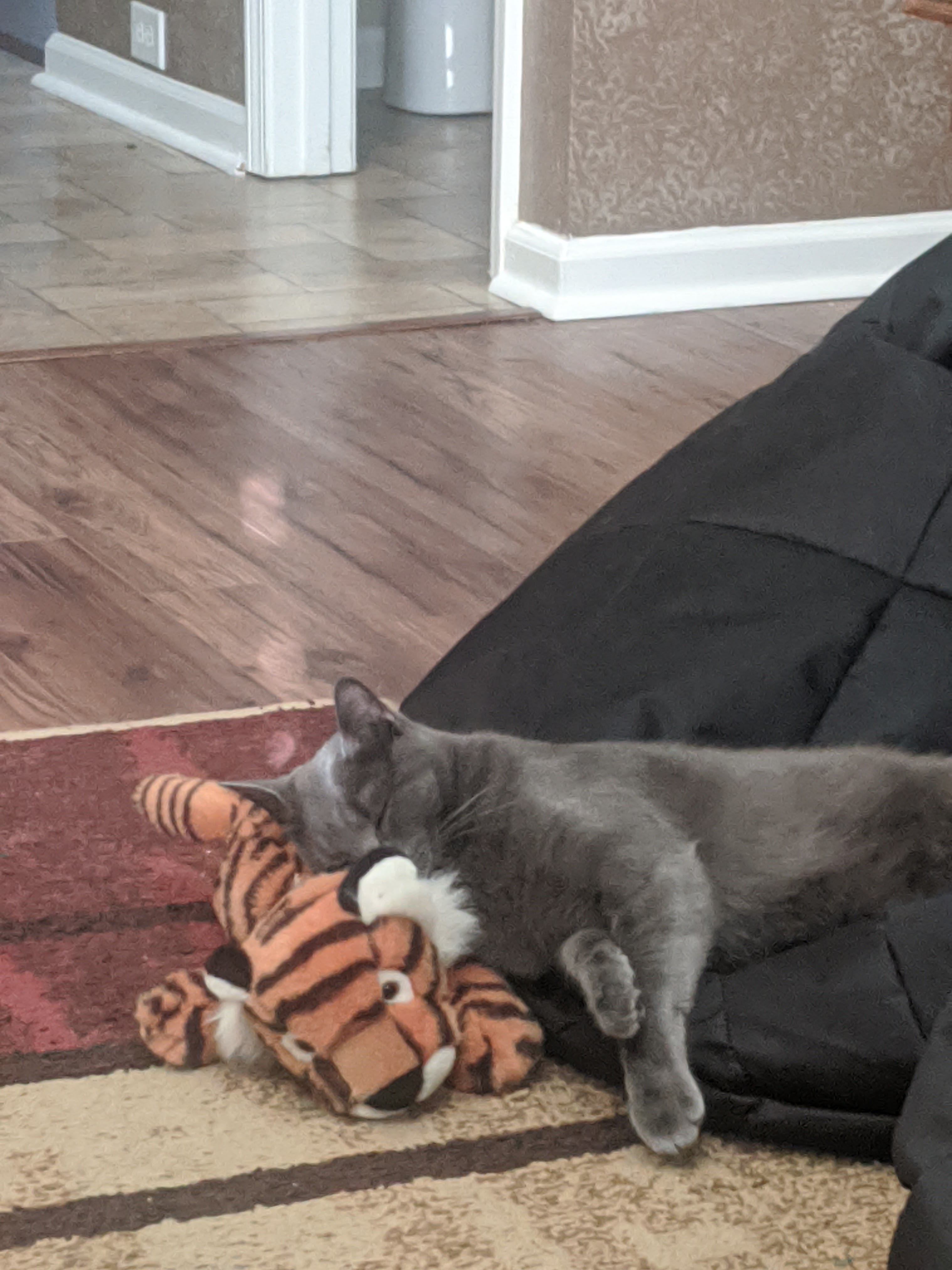 Napping with his friend.