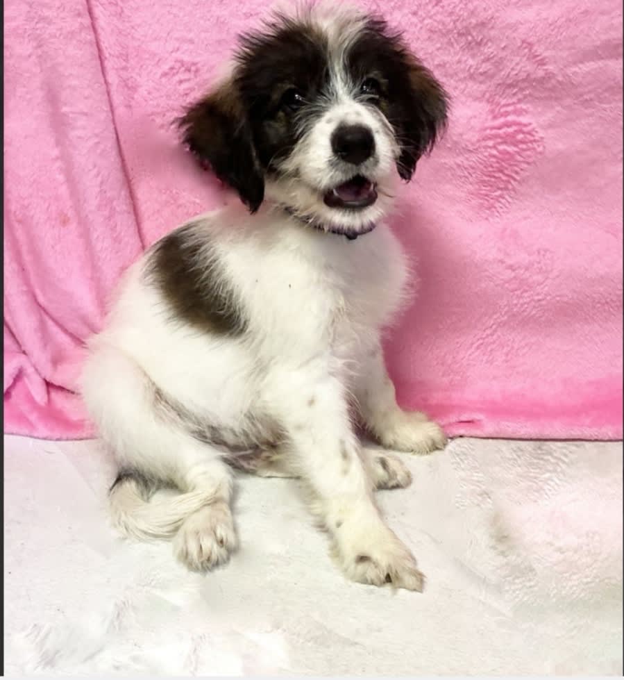 enter image description here