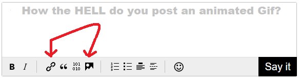 Why am I the only one who cannot post and animated Gif?