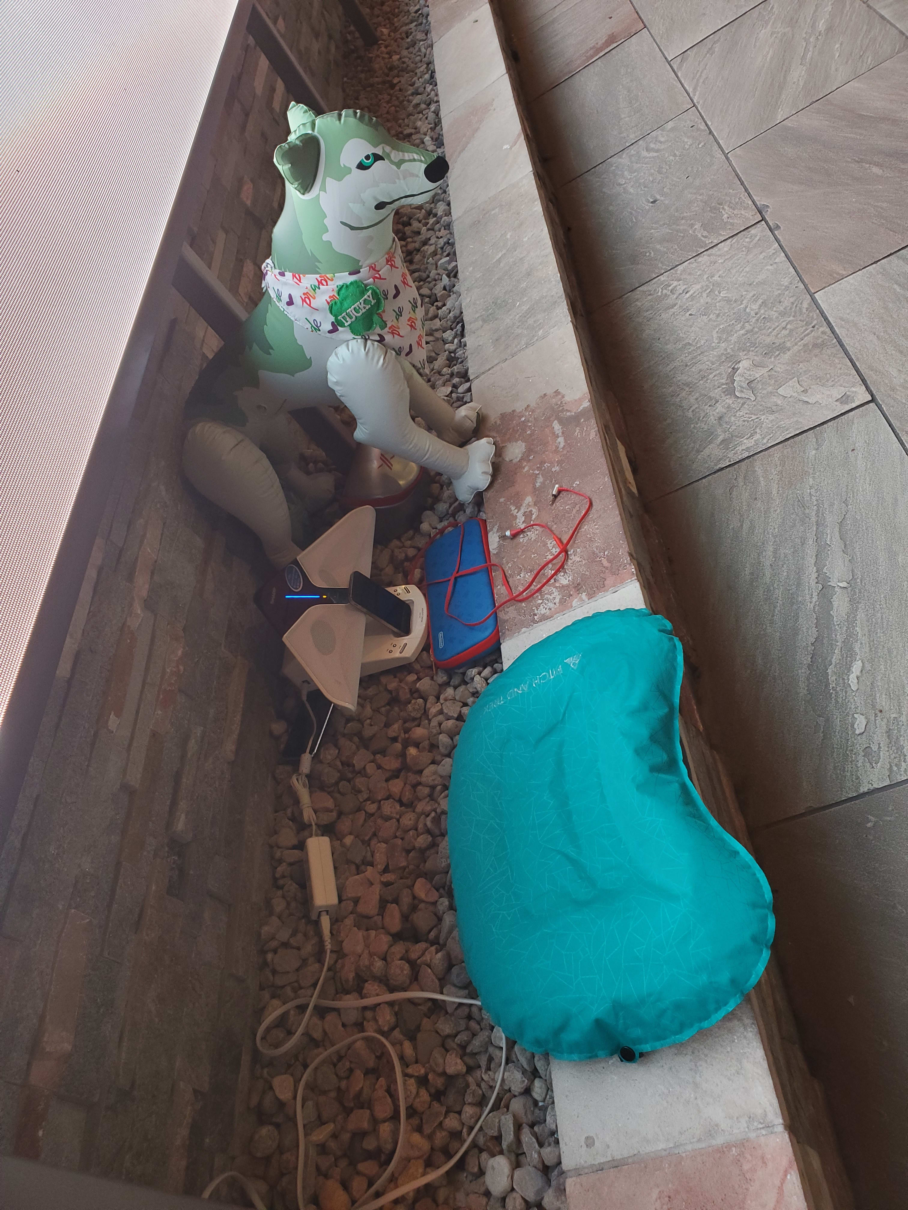 Much more comfortable than the wall!