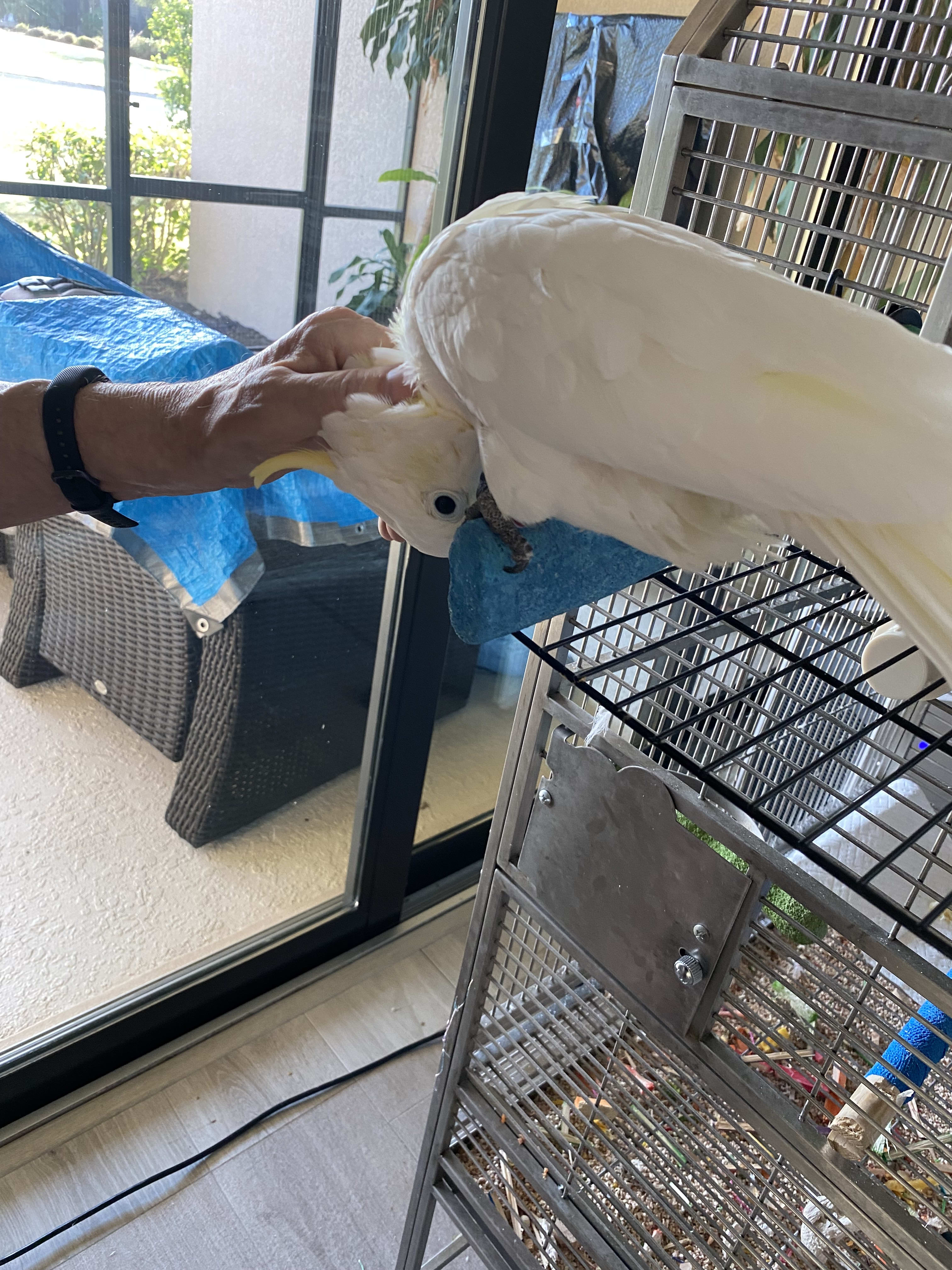 enter image description here