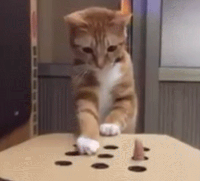 Whack-A-Mole Kitteh