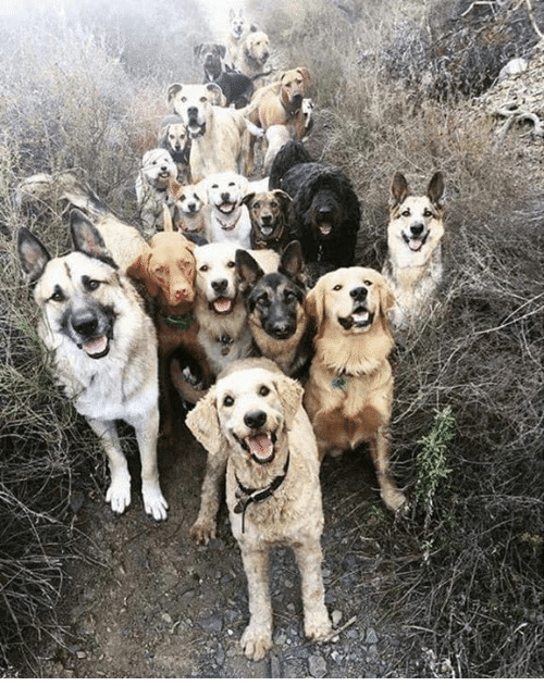 the Entrance to Heaven