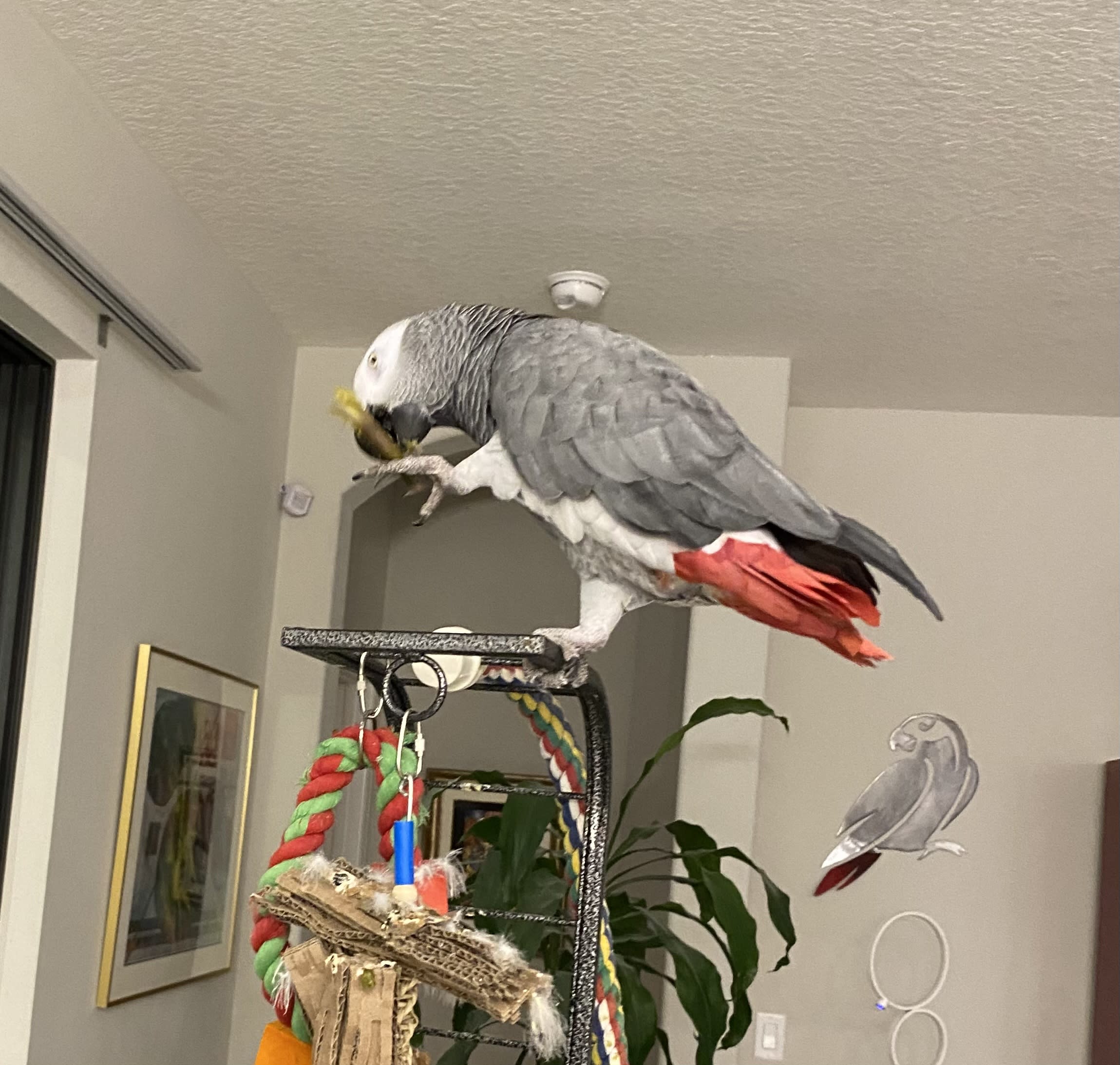 enter image description here