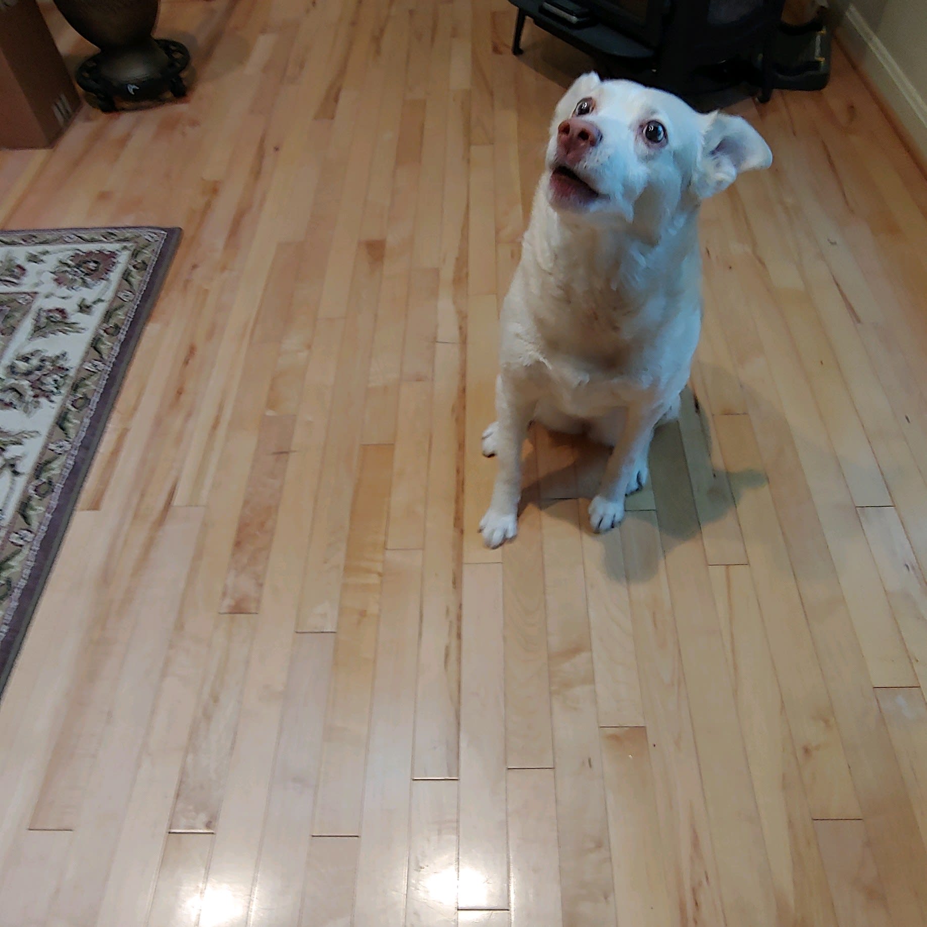 OOhhh,  what's THAT?