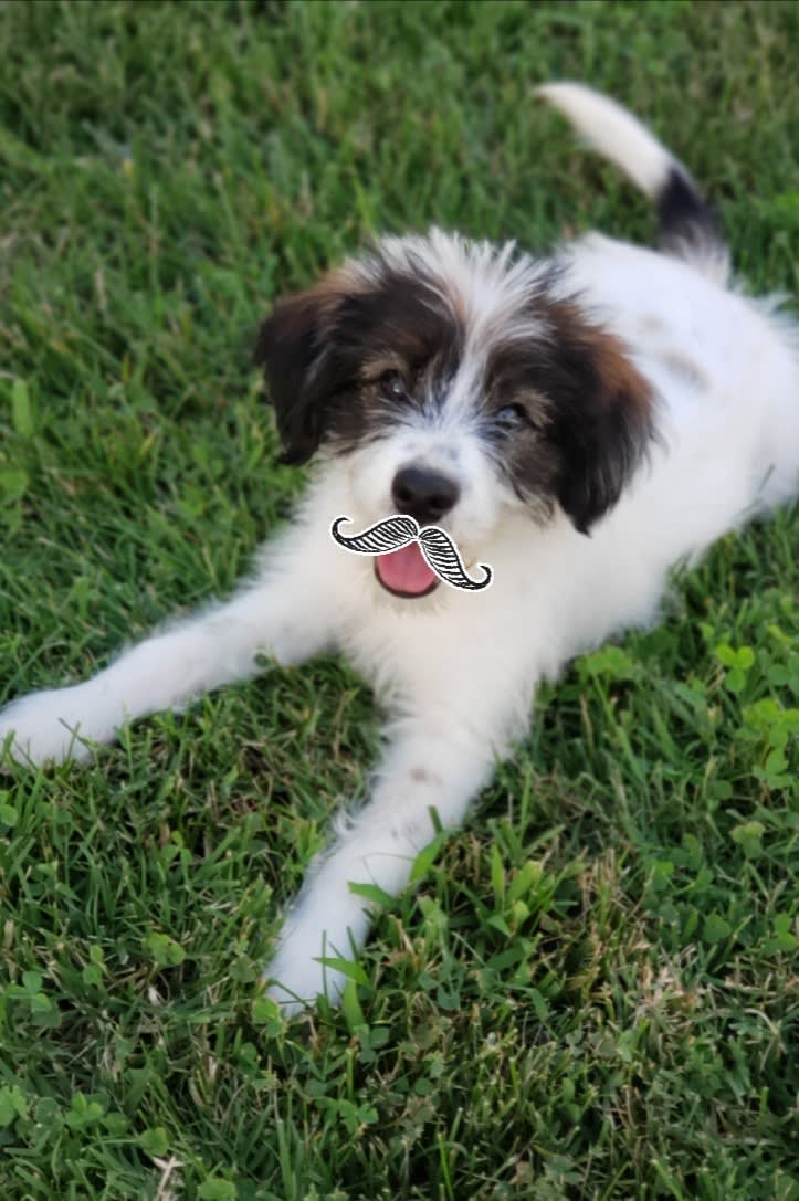 enter image description here