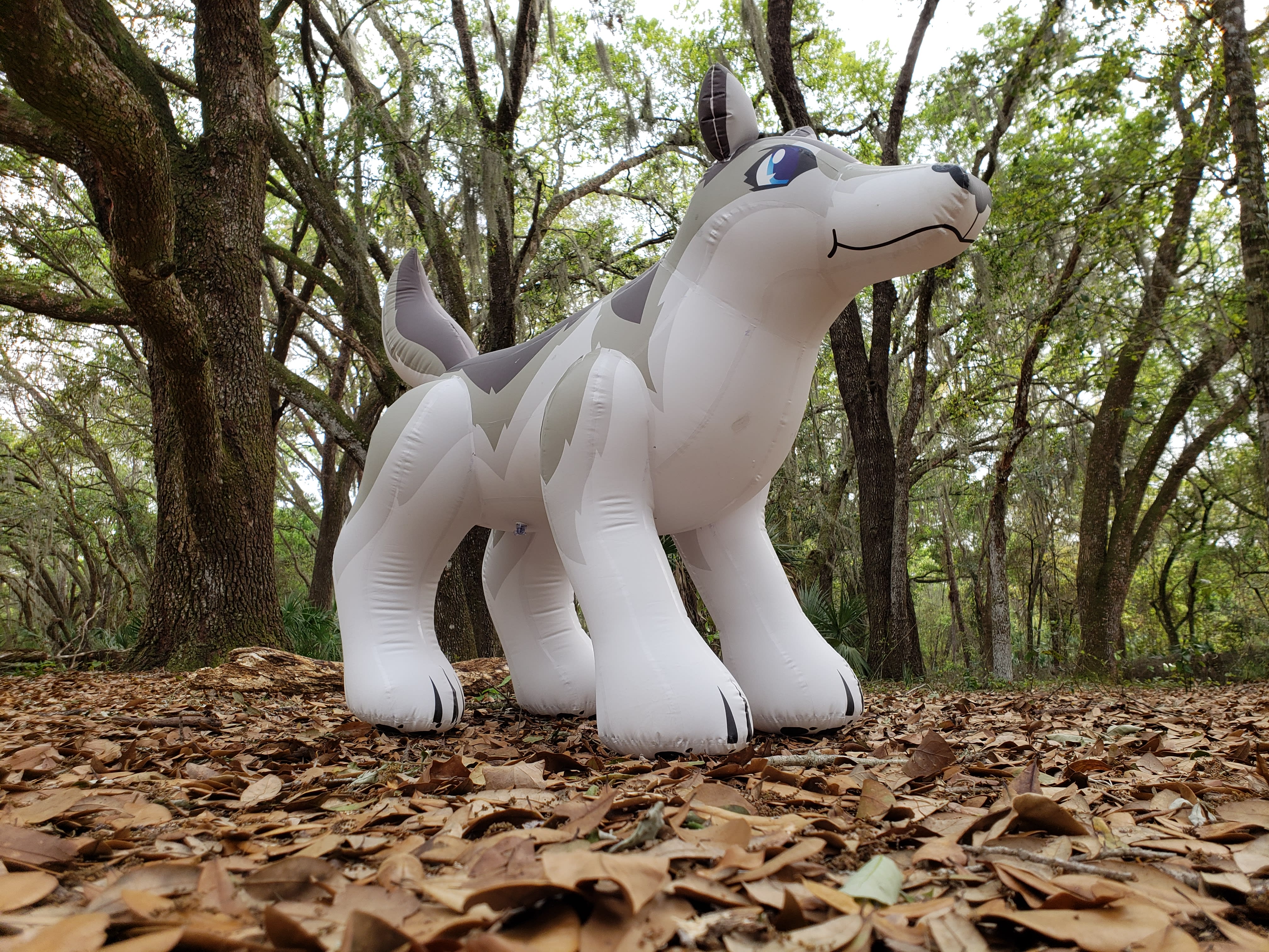 In his natural habitat