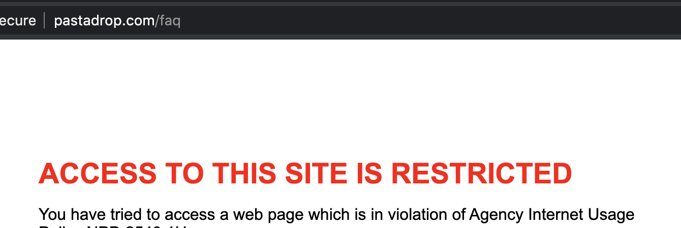 net-nanny screenshot