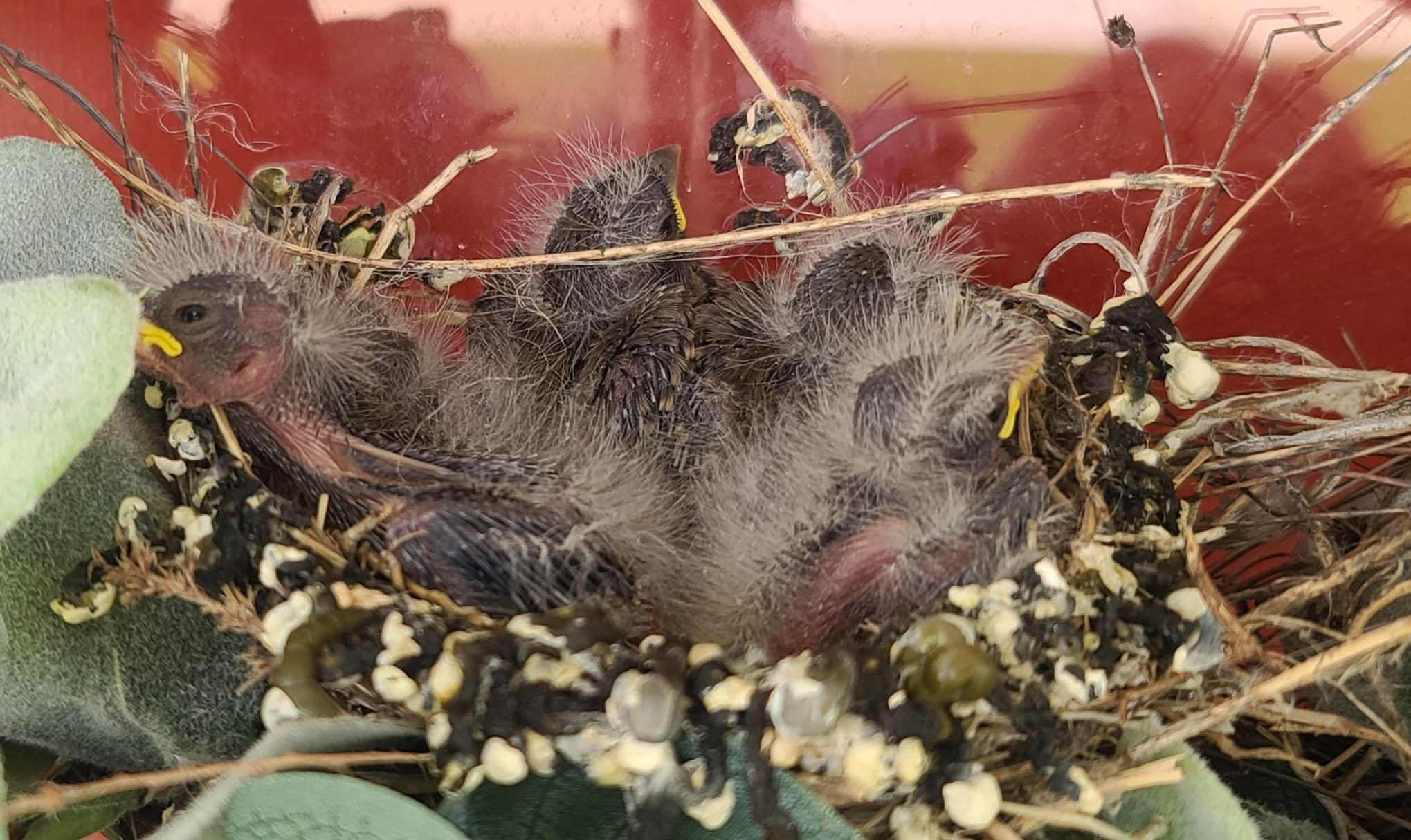 enter image description here