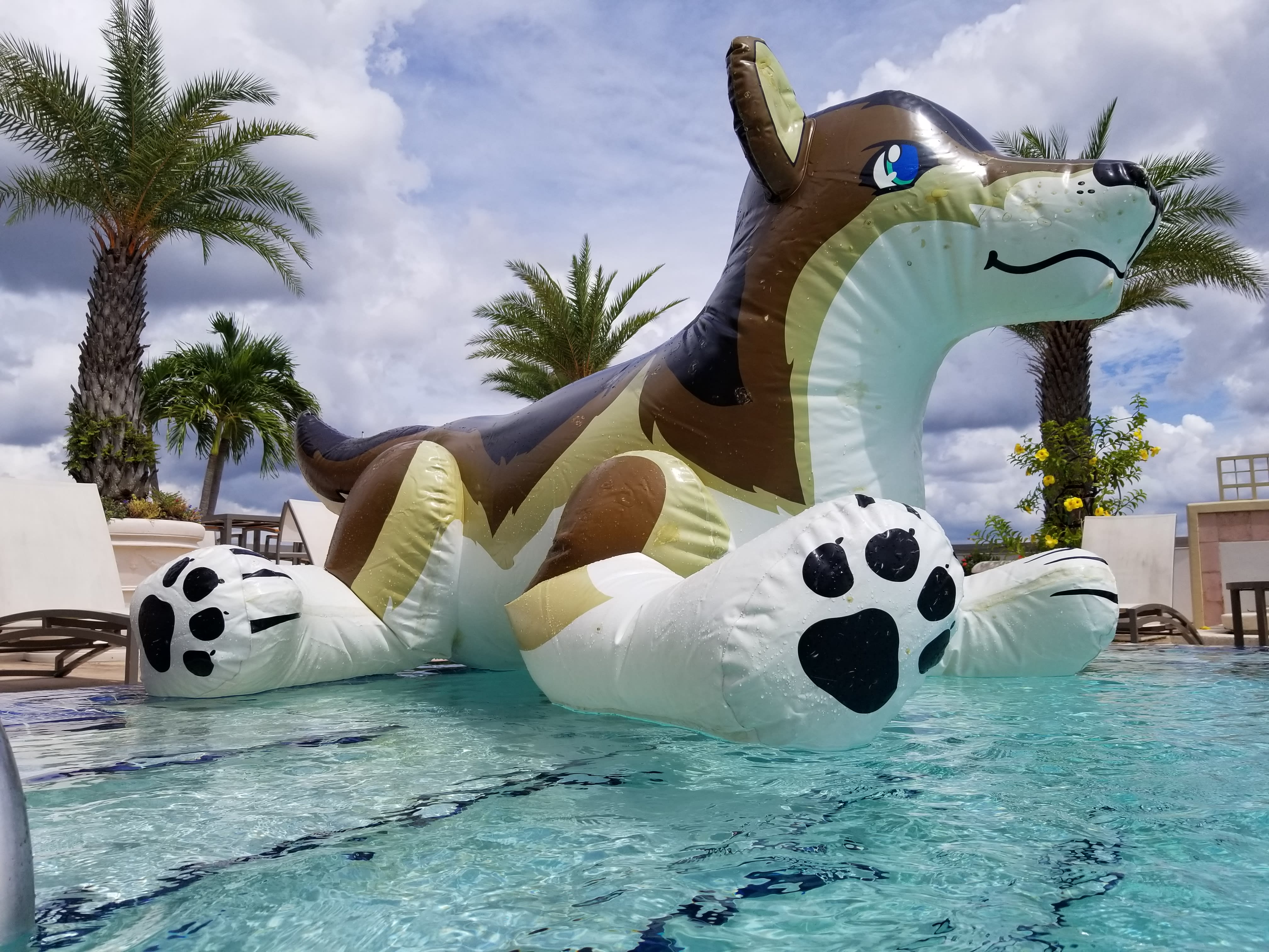 In the swimming pool atop the MCO terminal