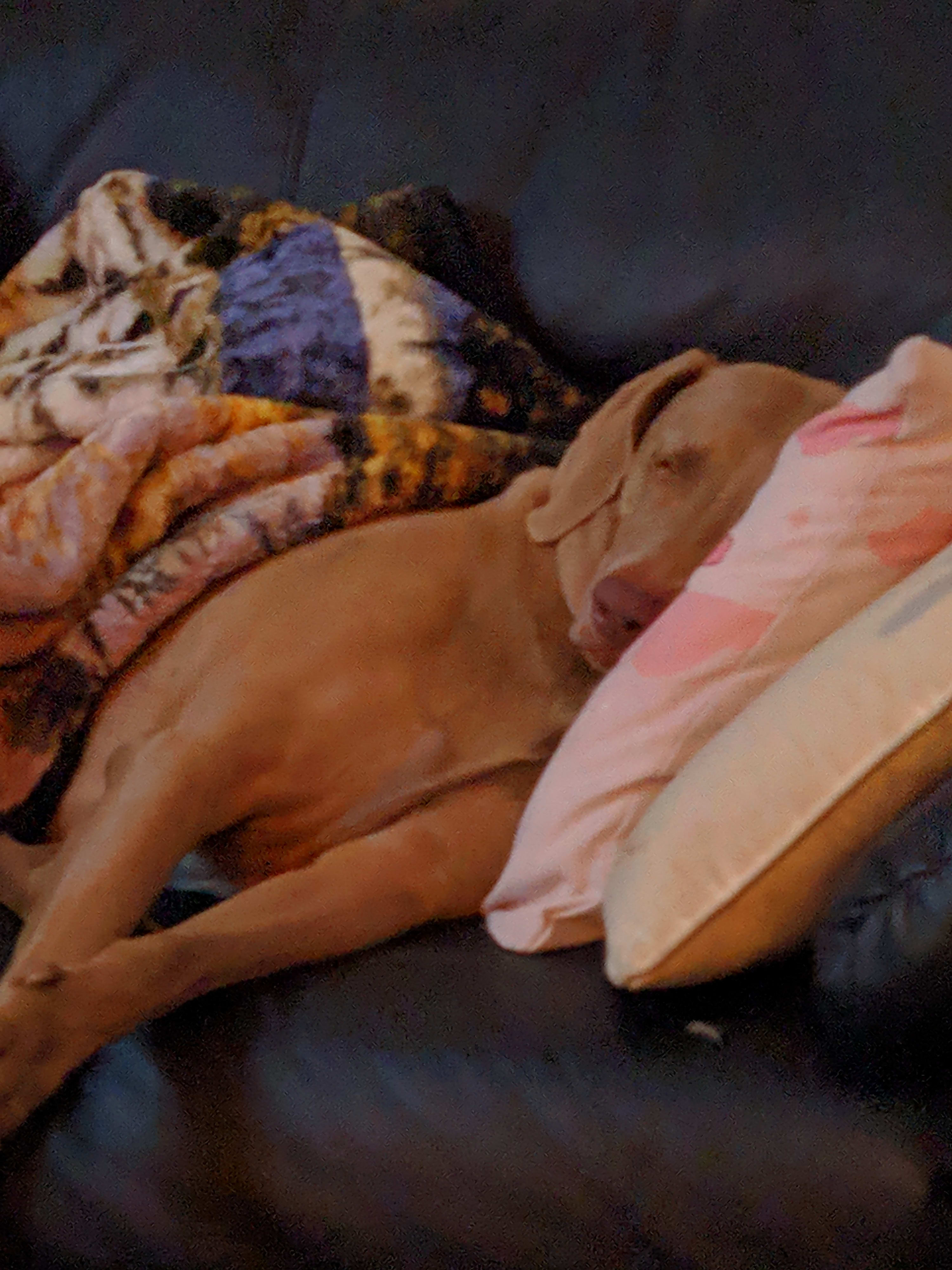 Funny, Luke is pretty tired, too.