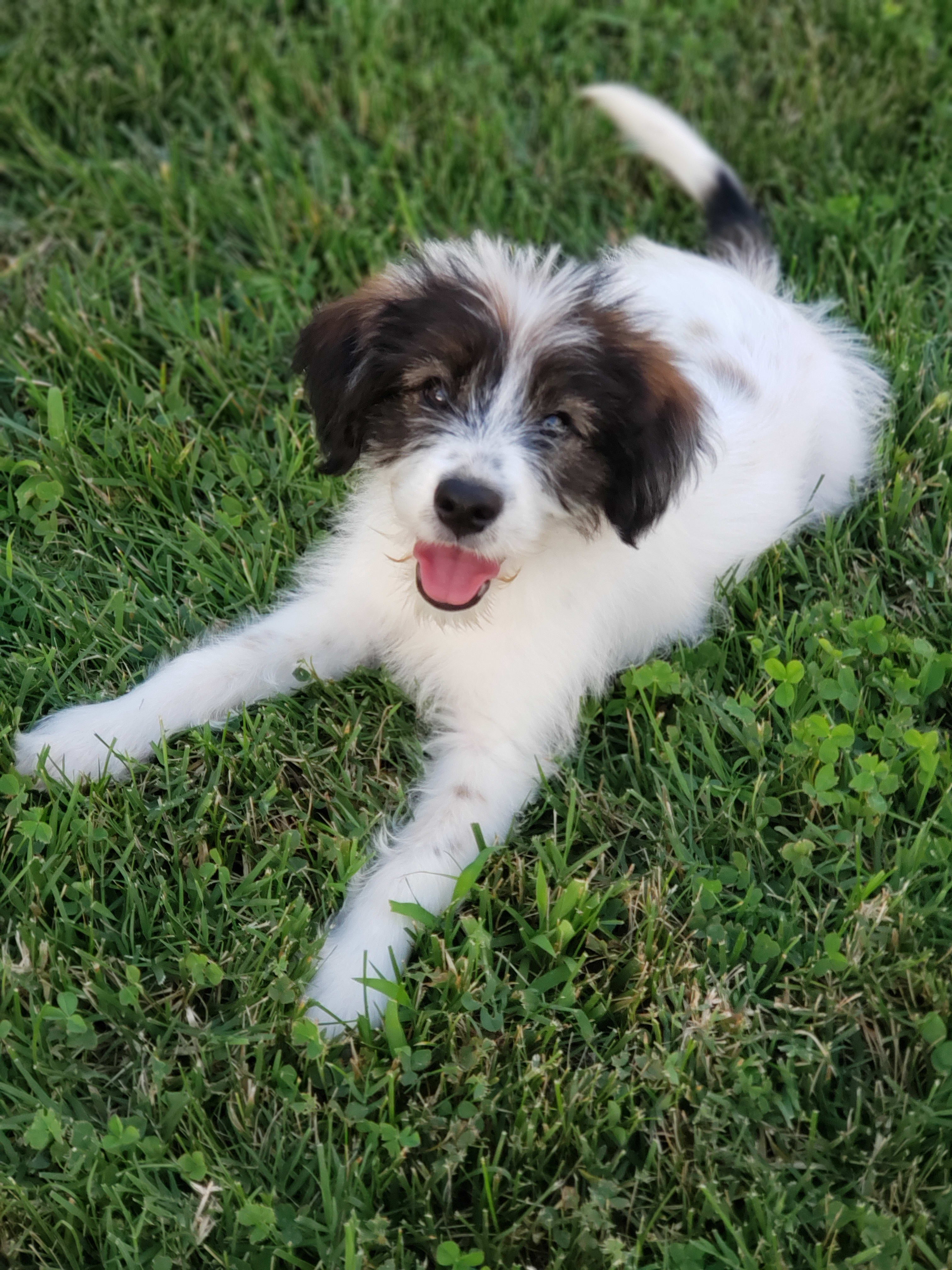 enter image description here